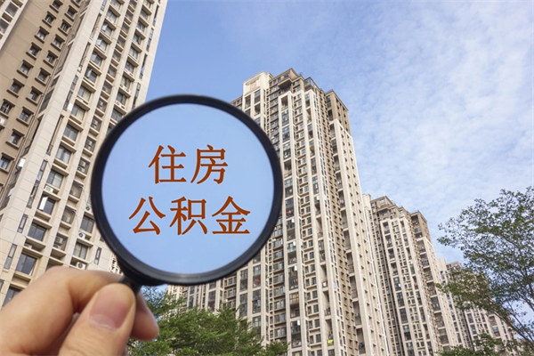 文山在职公积金怎么取（在职公积金如何提取现金）